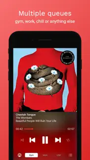 mixtapes - clever music player iphone screenshot 1