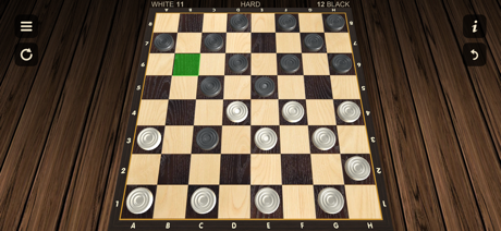 国际跳棋 - 兩名球員 screenshot 4