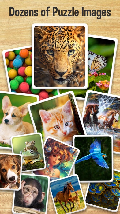 Animal Puzzle, Magic Blocks Screenshot