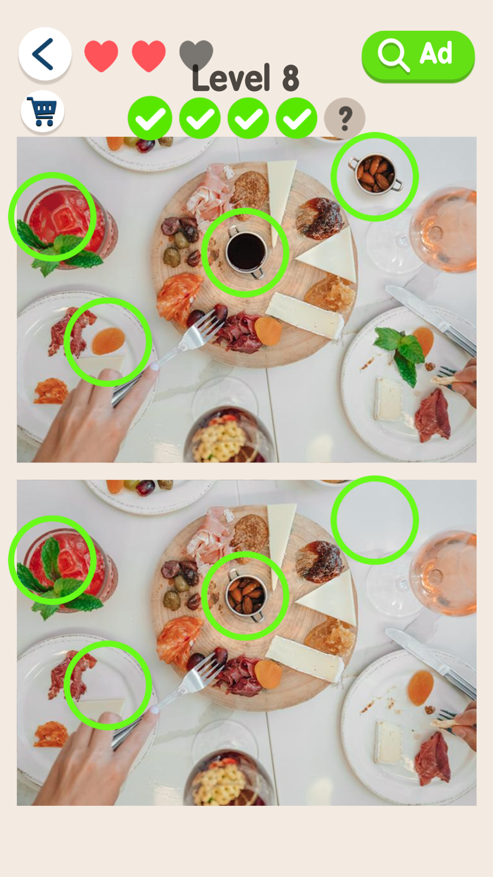 Find Different Picture Puzzle