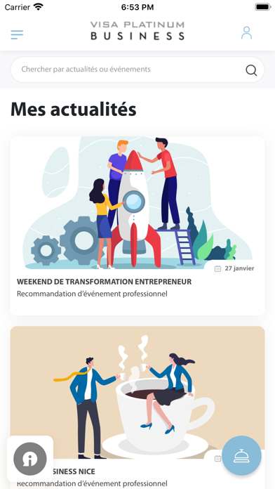 Visa Platinum Business Screenshot