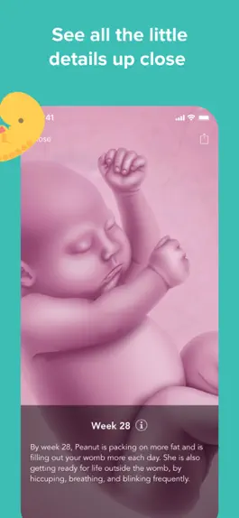 Game screenshot Ovia Pregnancy & Baby Tracker apk