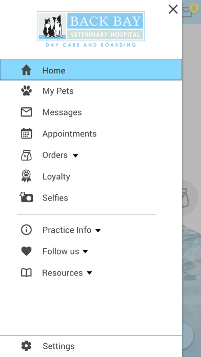 Back Bay Vet Screenshot