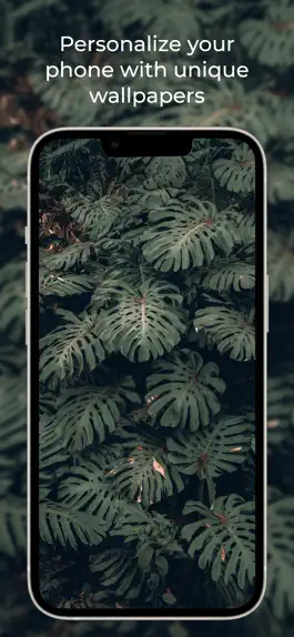 Game screenshot WallHub 4K Wallpapers hack