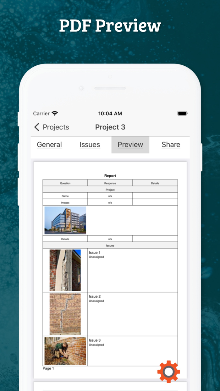 Site Audit - Punch Snag Lists