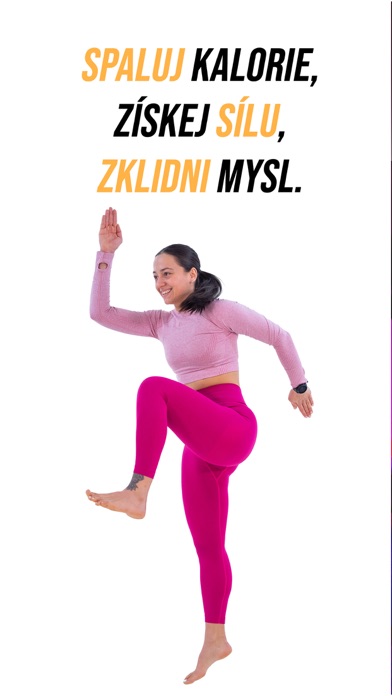 Online Fitness Screenshot