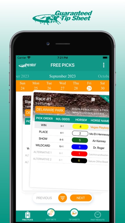 Horse Racing Tip Sheets