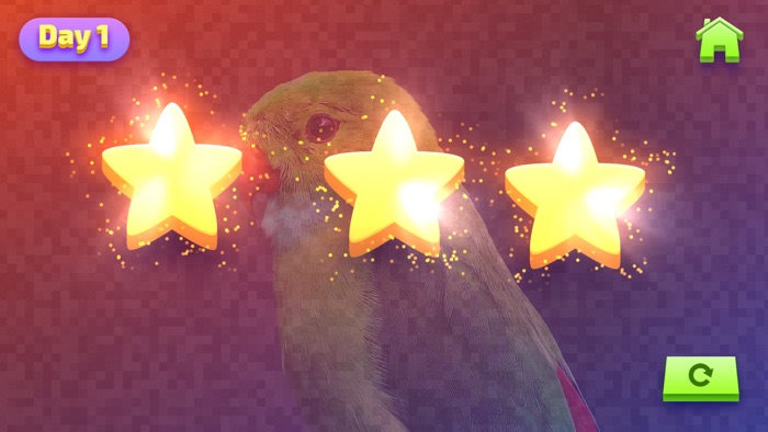 Sight Words of Animals