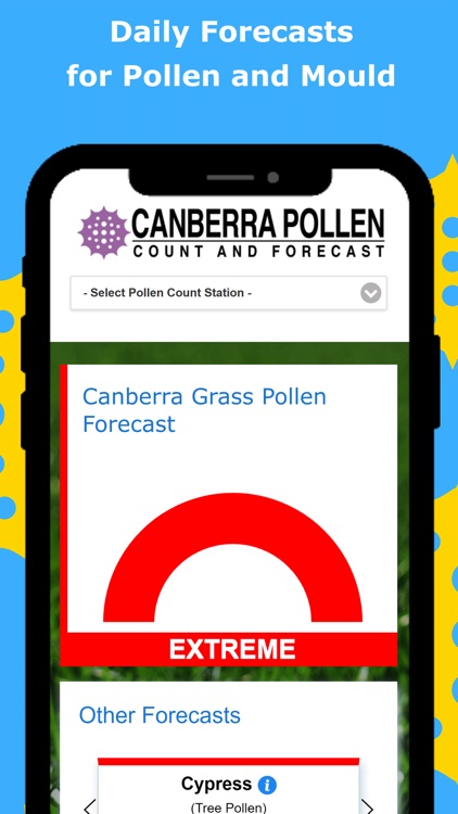 Canberra Pollen Count
