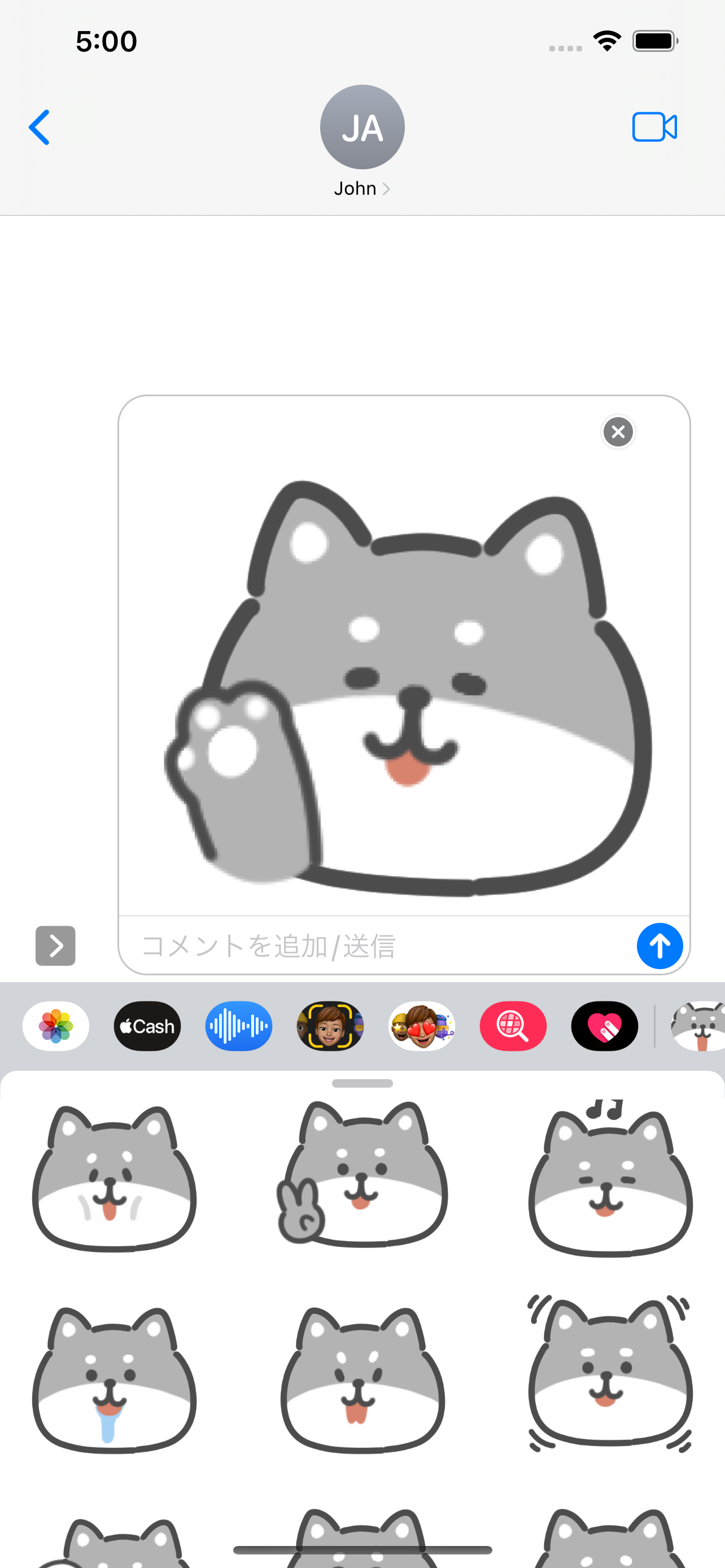 gray shiba inu sticker