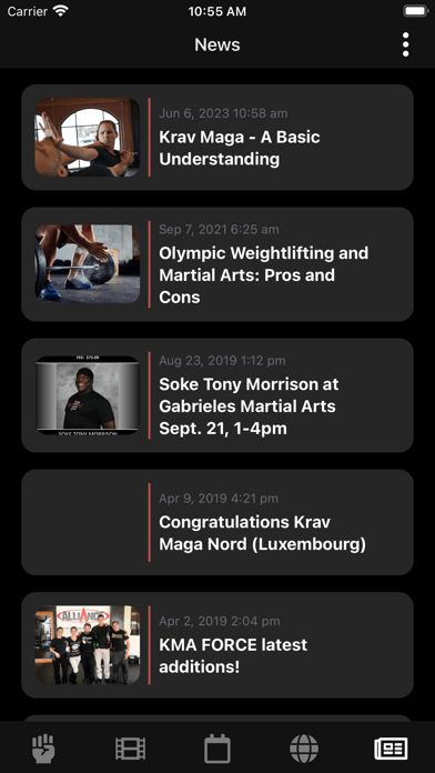 Krav Maga Pro Screenshot