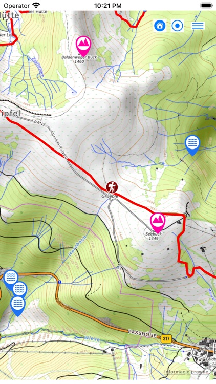 Schwarzwald Wanderschuh