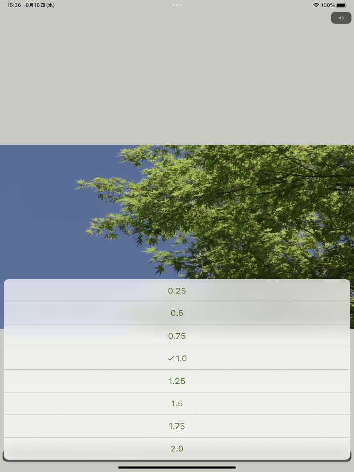 PlayX2 - double-speed playback