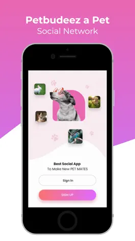 Game screenshot PetBudeez mod apk