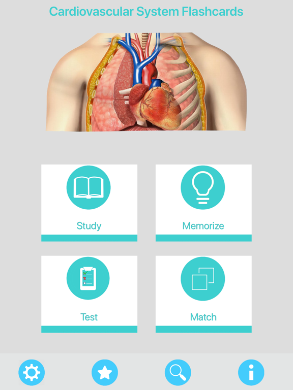 Screenshot #4 pour Circulatory System Flashcards