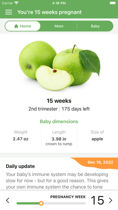 Pregnancy App. Screenshot