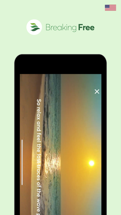 Breaking Free Companion USA Screenshot