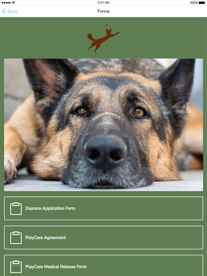 Windy Bog Doggie PlayCare