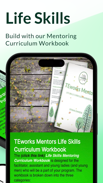 TEworks Mentors Screenshot