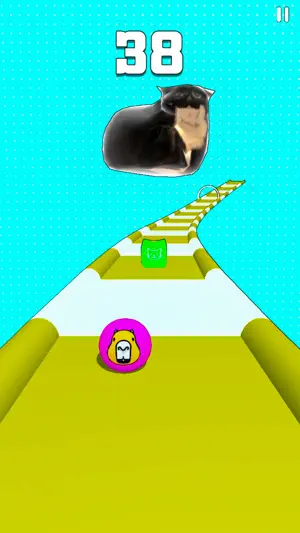 MAXWELL CAPYBARA SHIBA INU screenshot 4