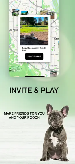 Game screenshot Barkr - Meet Dog Owners hack