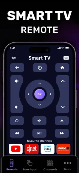 Game screenshot Universal TV Remote® apk