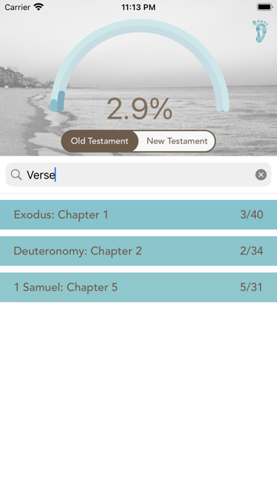 Footsteps: Bible Tracker Screenshot
