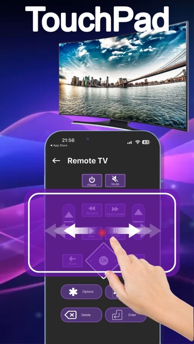 Roku: Cast To TV Screenshot