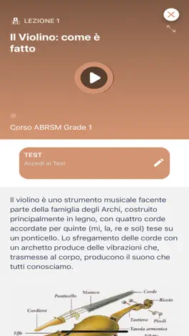 Game screenshot Dancla Lezioni di Violino hack
