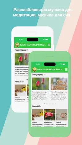 Game screenshot расслабляющую музыку apk