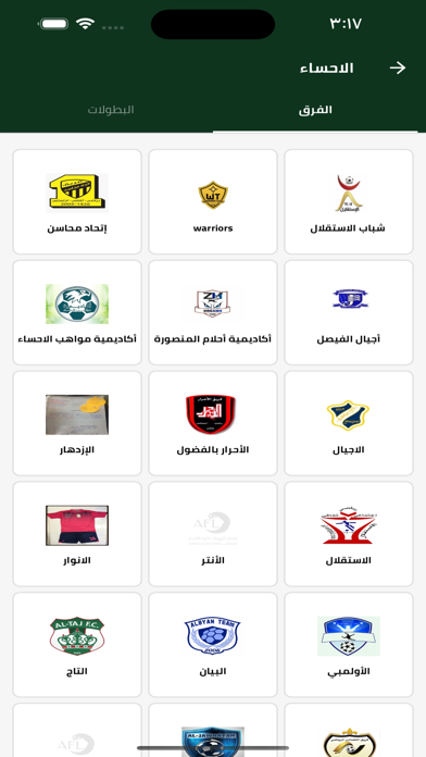 Amateur Football League (AFL) Screenshot