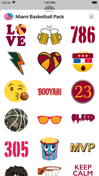 Miami Basketball Pack Screenshot