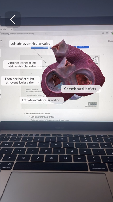 XR Anatomy Screenshot