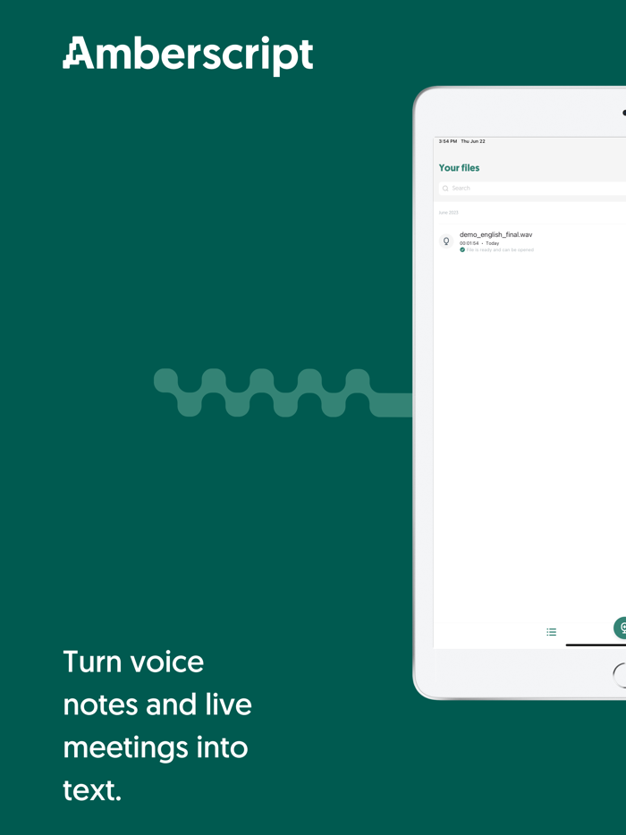 Transcribe voice to text