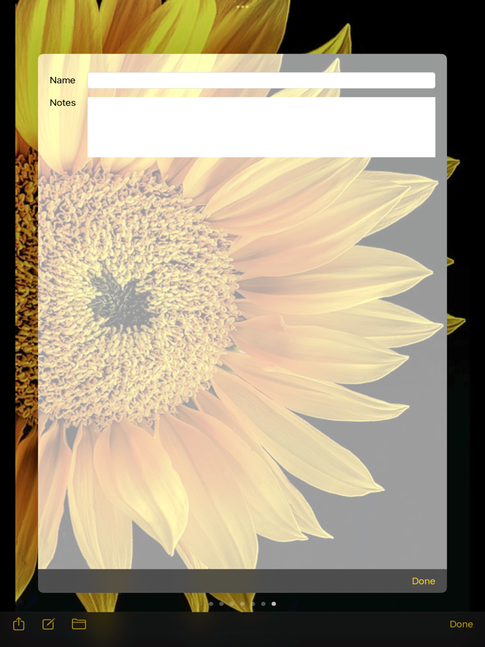 Private Pics try then buy