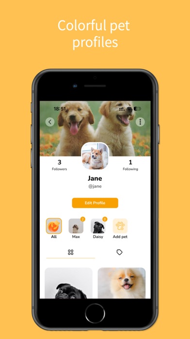 Petigo - Connecting pet lovers Screenshot