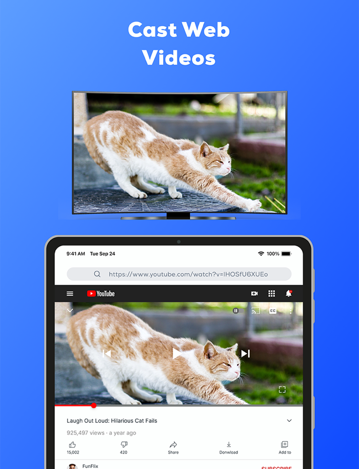 Cast Phone to TV Miracasting