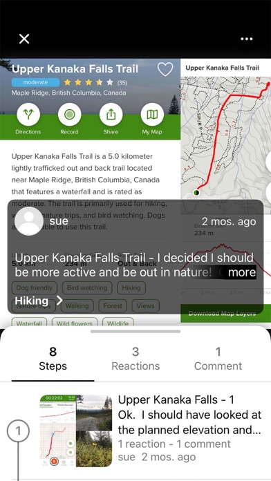 Intellyon Screenshot