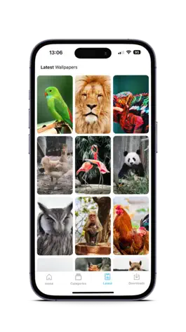 Game screenshot Tempera hack