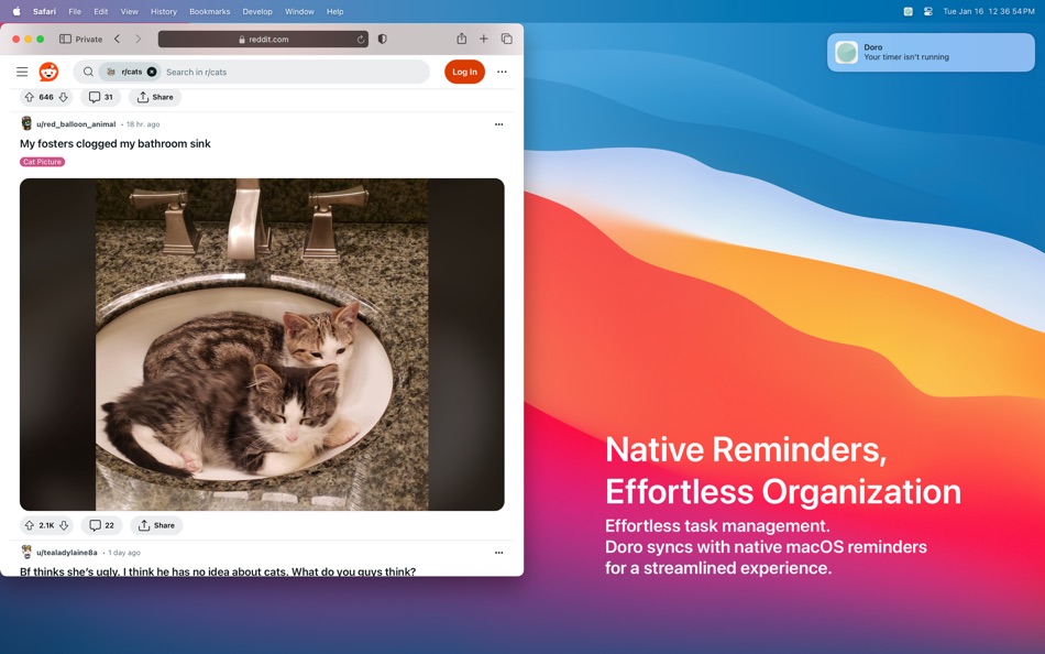 #8. Doro - Focus Timer (macOS) 由: Goodness