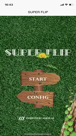 Game screenshot SUPER FLIP 2023 mod apk