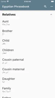 egyptian phrasebook iphone screenshot 4
