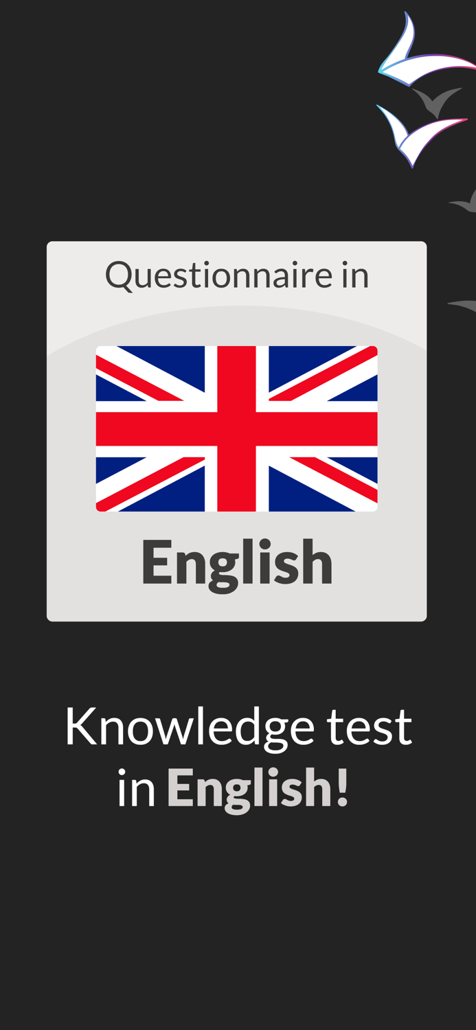 English Questionnaire