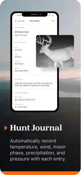 Game screenshot Hunt Regs hack