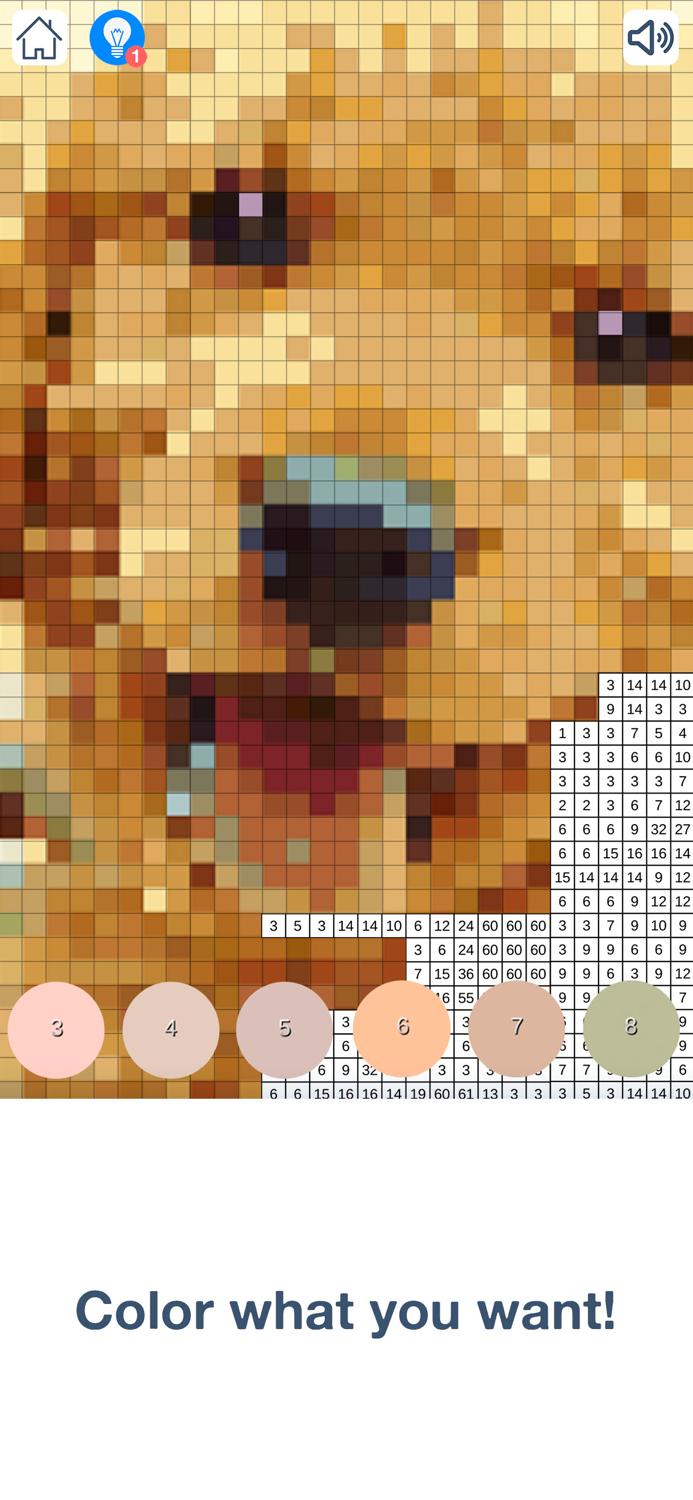 Real Photo By Number