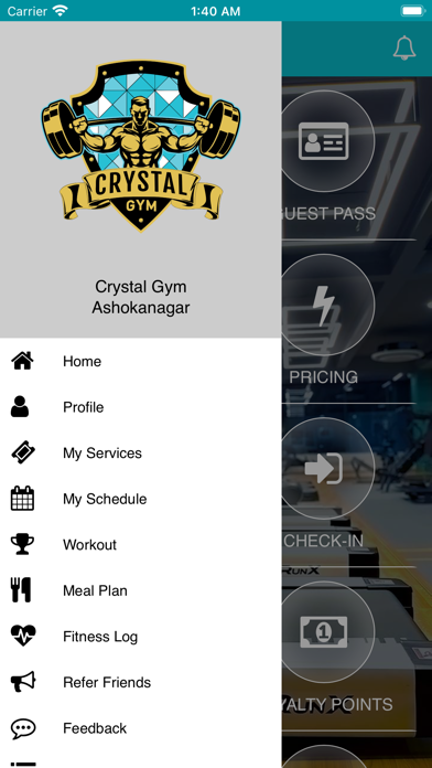 Crystal Gym Screenshot