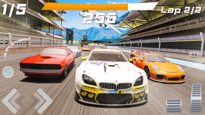 The Racing Crew Ultimate Race Screenshot