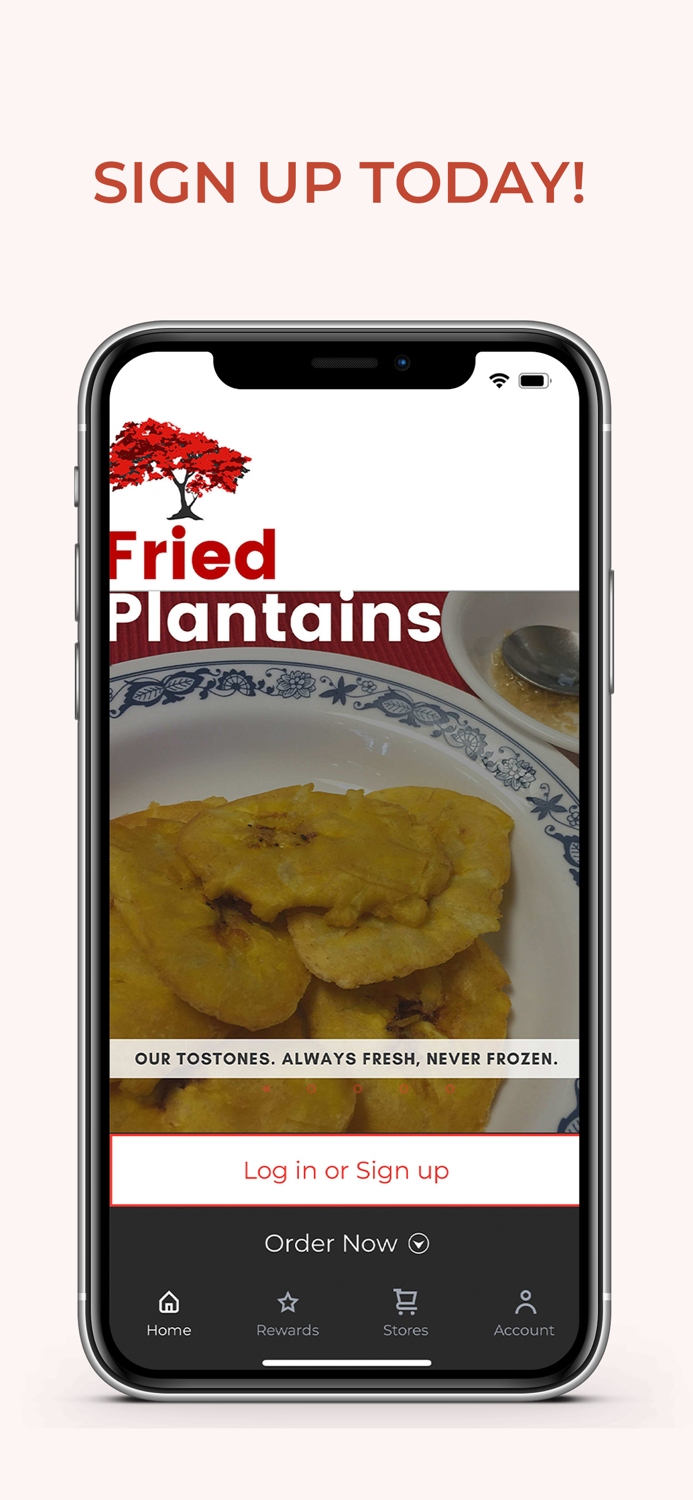 El Flamboyan Restaurant