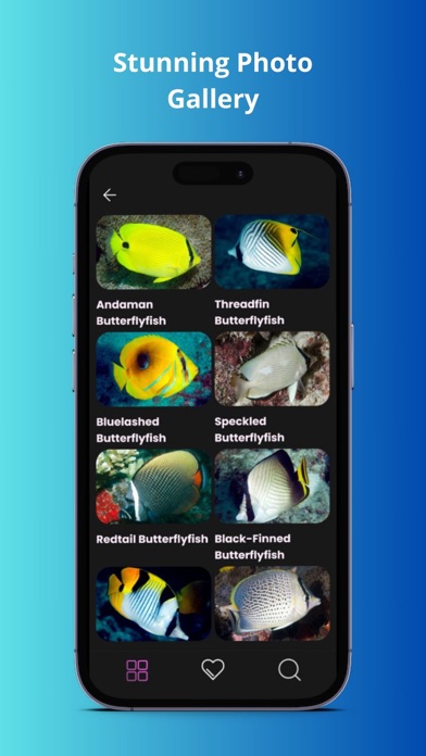 Maldivian Fish Guide Screenshot
