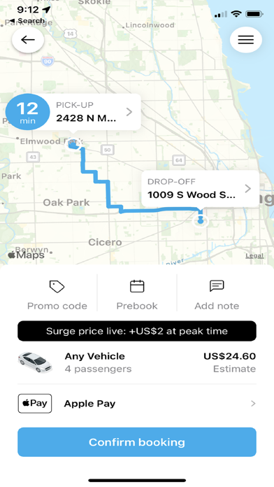 Blue Cab Screenshot